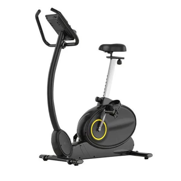 دوچرخه ثابت تایگر اسپرت مدل TS-1901