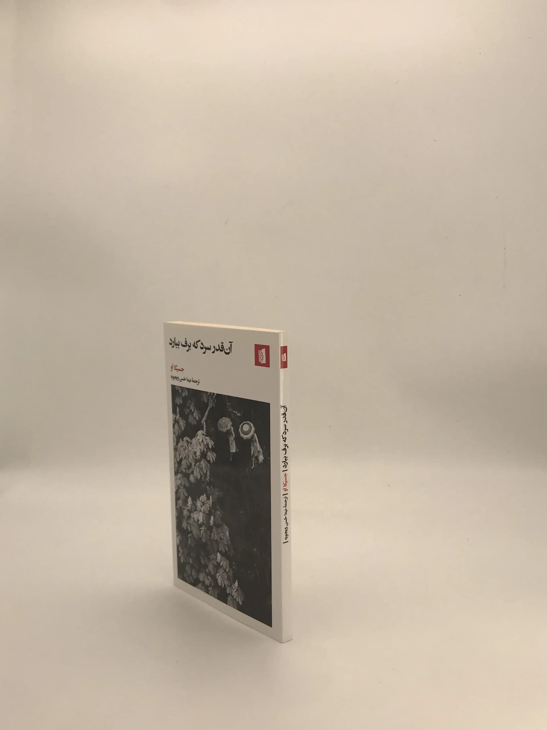 آنقدر سرد که برف ببارد نوشته جسیکا او — تصویر ۴