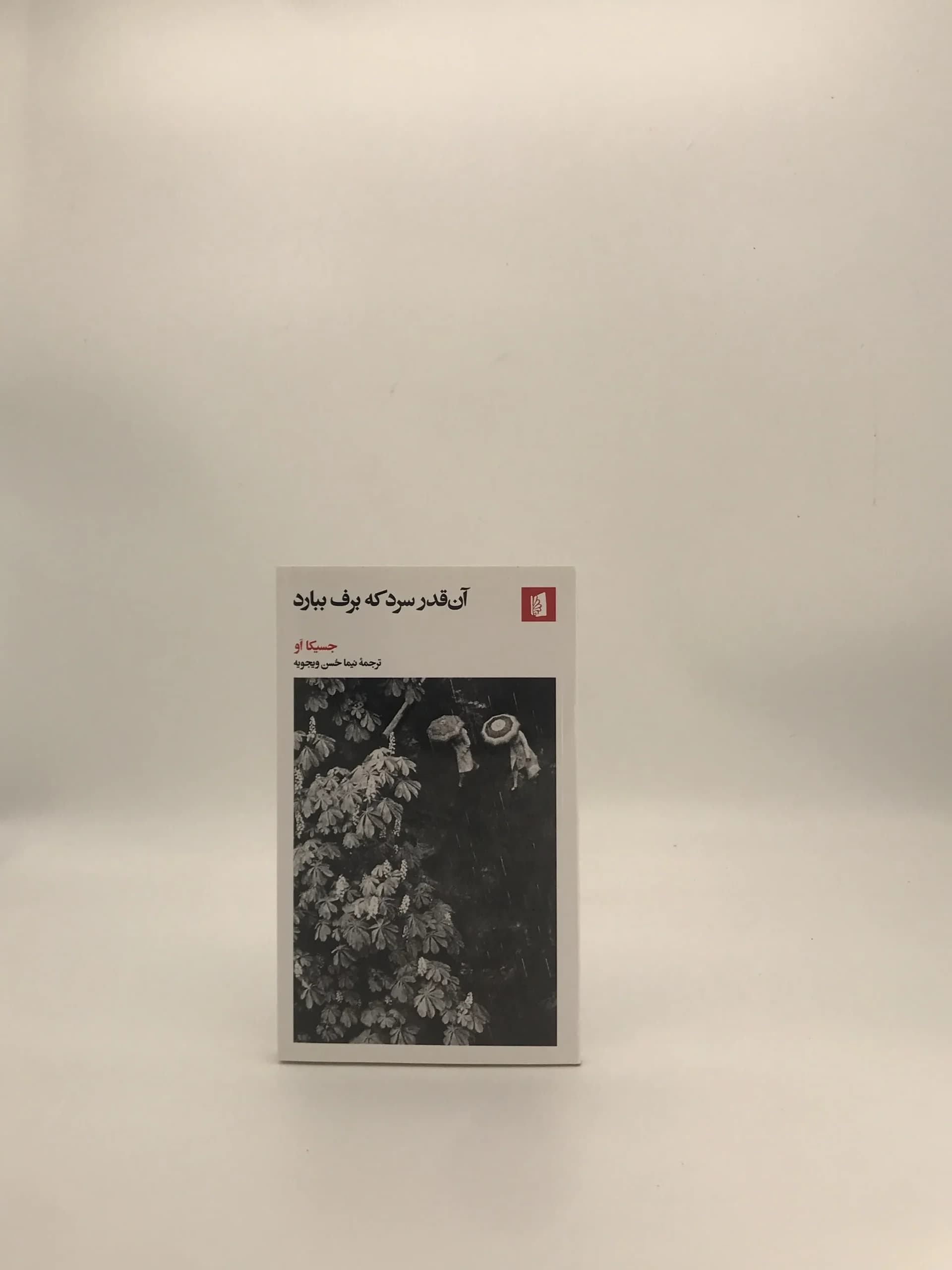 آنقدر سرد که برف ببارد نوشته جسیکا او — تصویر ۲