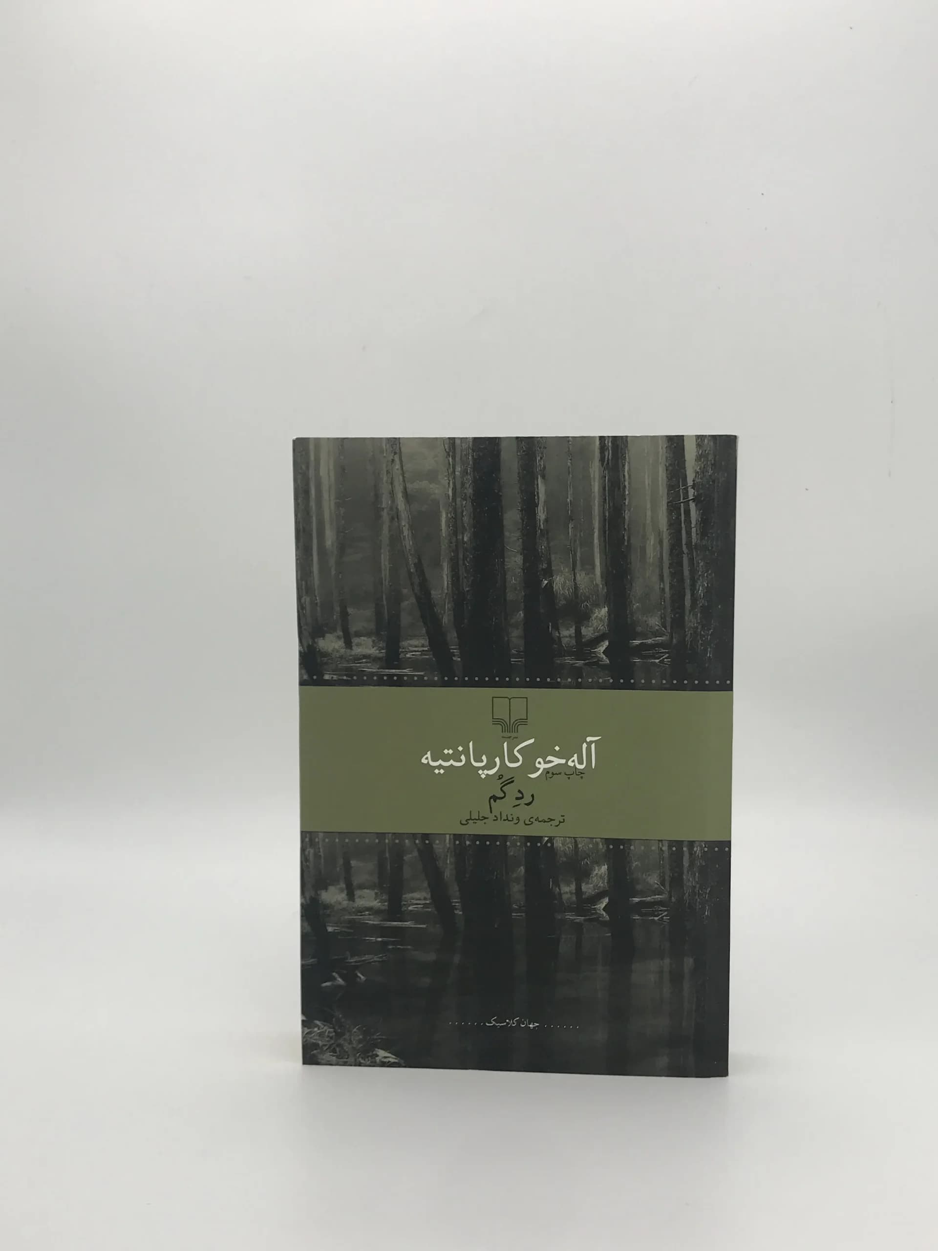 رد گم نوشته آله خو کارپانتیه از نشر چشمه