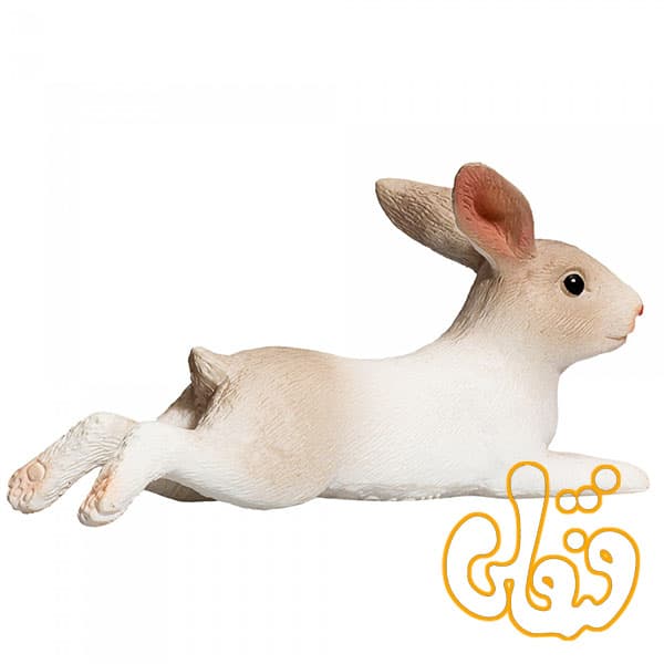 خرگوش نشسته Rabbit Sitting 387142 — تصویر ۴