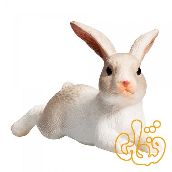 خرگوش نشسته Rabbit Sitting 387142 — تصویر ۲