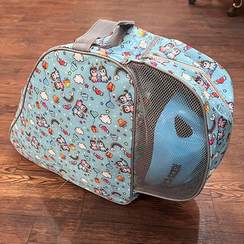کیف اسکیت بچگانه حرفه ای طرح یونیکورن فیروزه ای — تصویر ۳