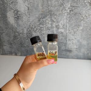 اسانس گلدسته — تصویر ۲