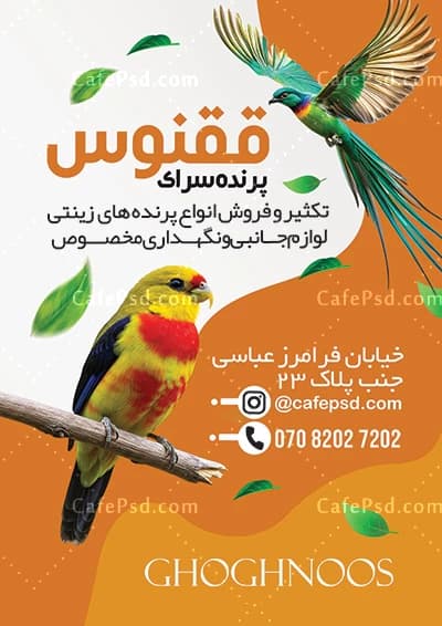 طرح تراکت پرنده فروشی قابل ویرایش با فتوشاپ — تصویر ۳