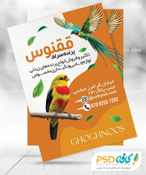 طرح تراکت پرنده فروشی قابل ویرایش با فتوشاپ — تصویر ۲