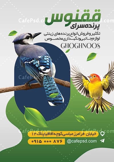 تراکت پرنده فروشی بصورت لایه باز — تصویر ۳
