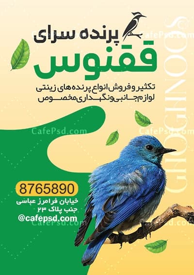 تراکت تبلیغاتی پرنده فروشی با عکس پرنده — تصویر ۳