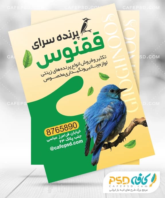 تراکت تبلیغاتی پرنده فروشی با عکس پرنده — تصویر ۲