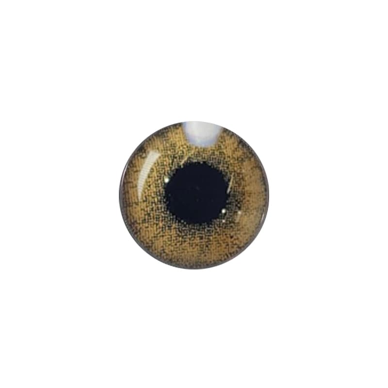 لنز چشم رنگی آی ریو (EYEREVE) شماره CAPPUCCINO 16 — تصویر ۳