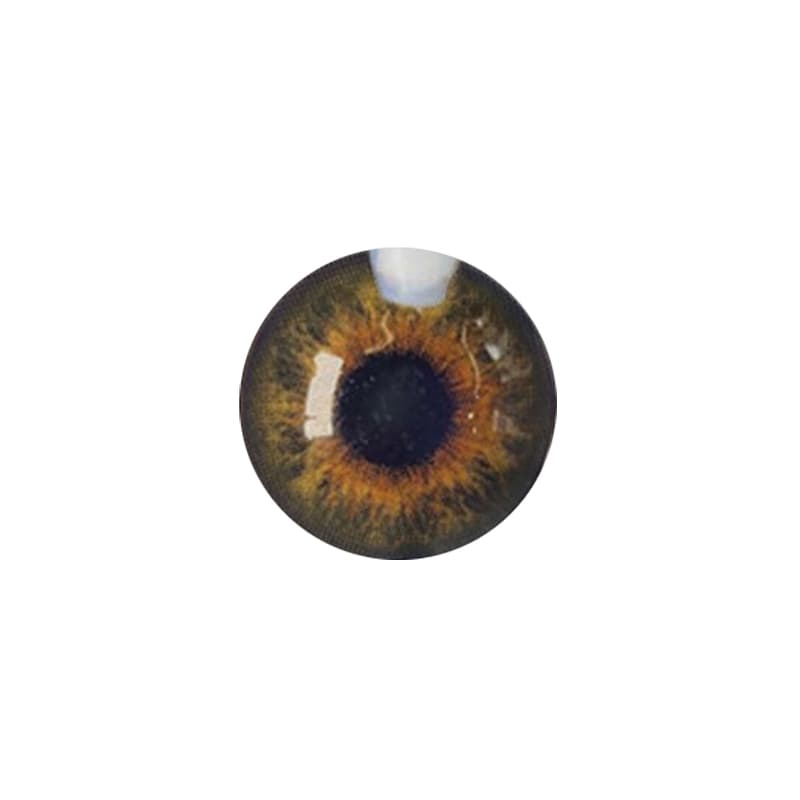 لنز چشم رنگی آی ریو (EYEREVE) شماره FLORAANS HAZEL 15 — تصویر ۳
