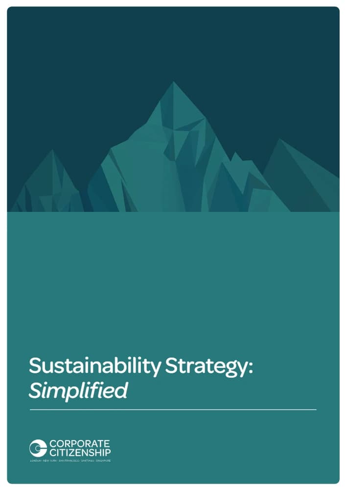 کتاب Sustainability Strategy Simplified (ساده‌سازی استراتژی پایداری) نسخه انگلیسی PDF | نامشخص