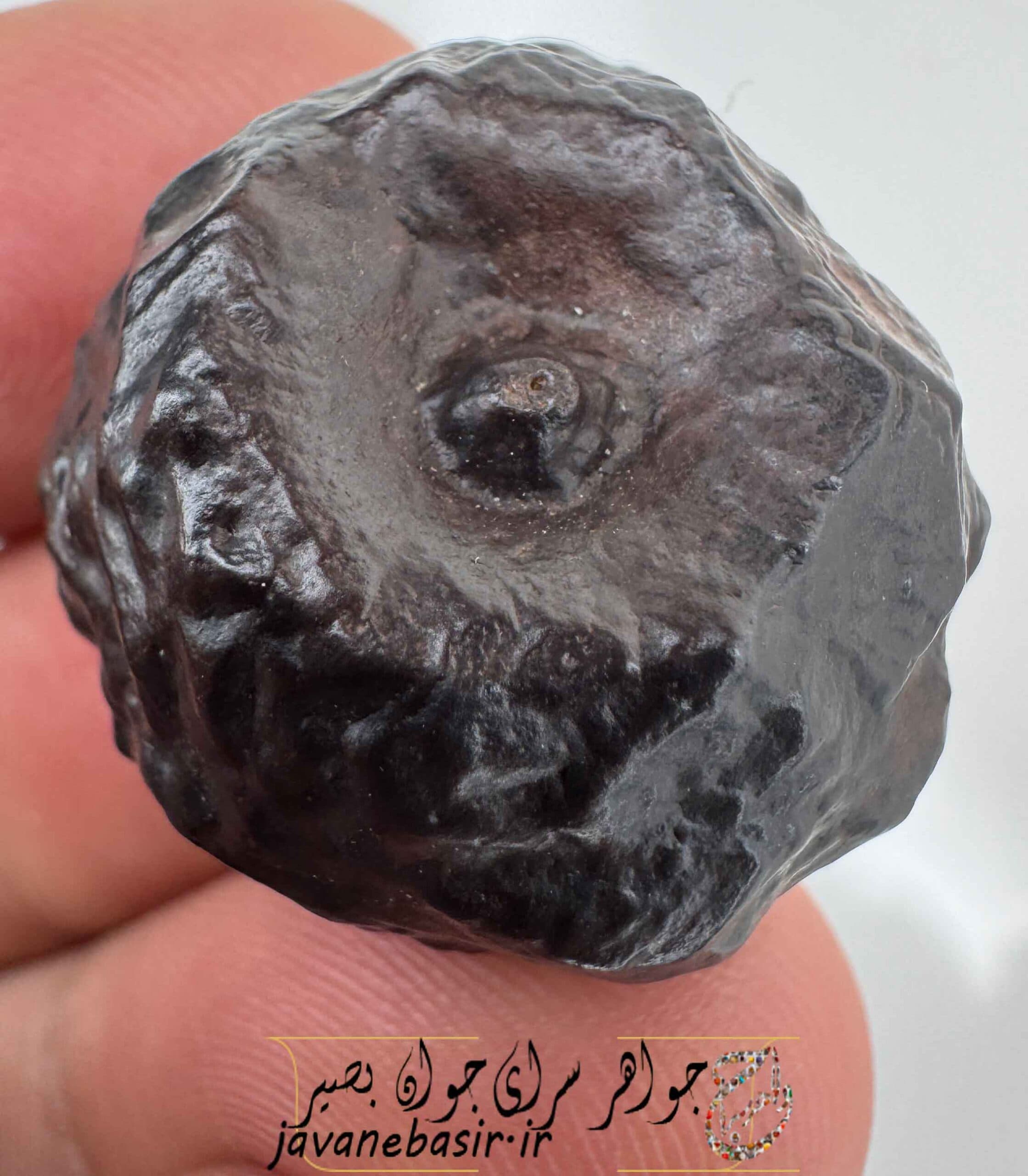 هبهاب فلکی