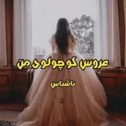 دانلود رمان عروس کوچولوی من اثر ناشناس — تصویر ۲