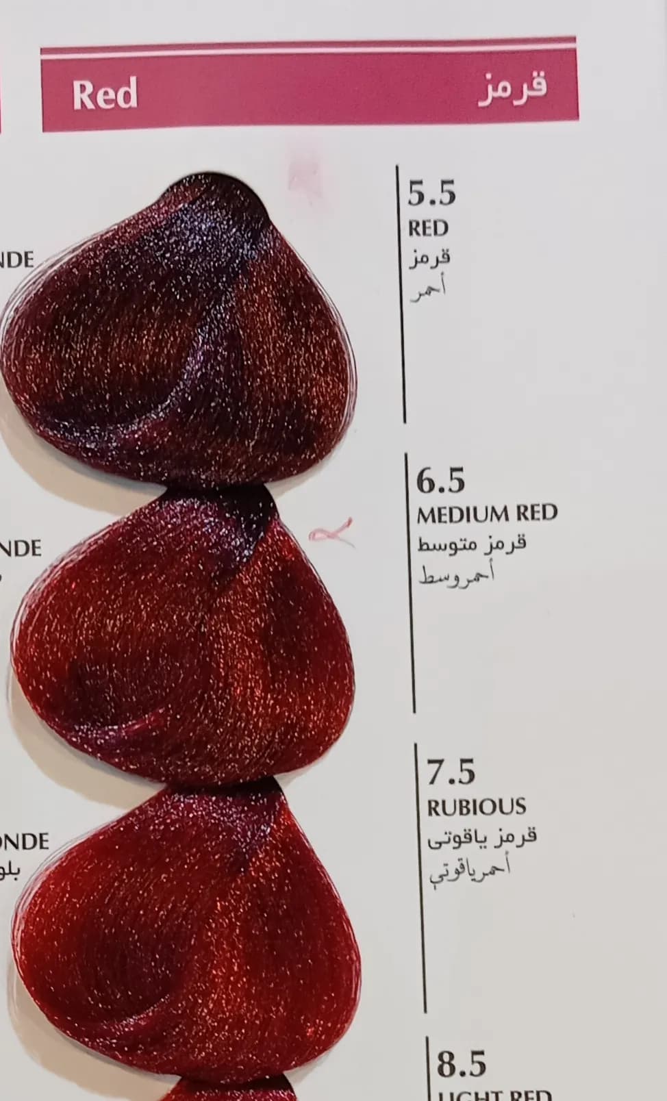 رنگ مو بلگا قرمز BELGA 5.5 — تصویر ۲