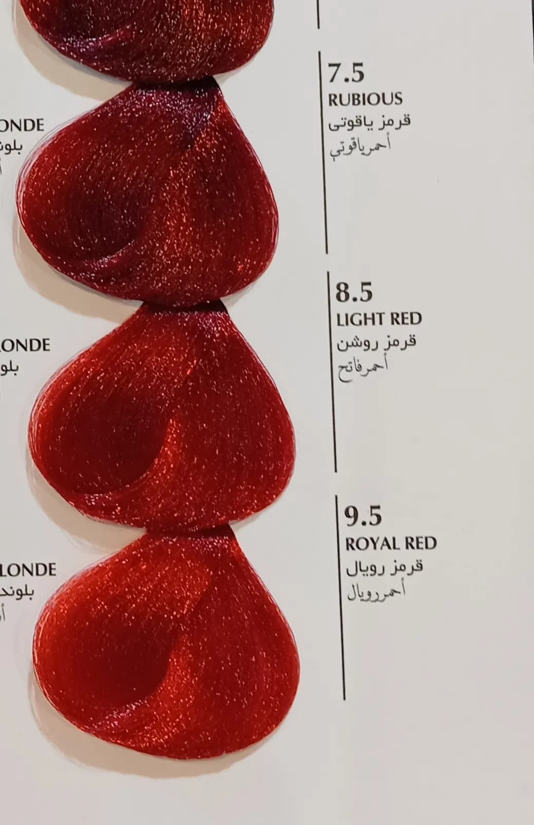 رنگ مو بلگا قرمز روشن BELGA 8.5 — تصویر ۲