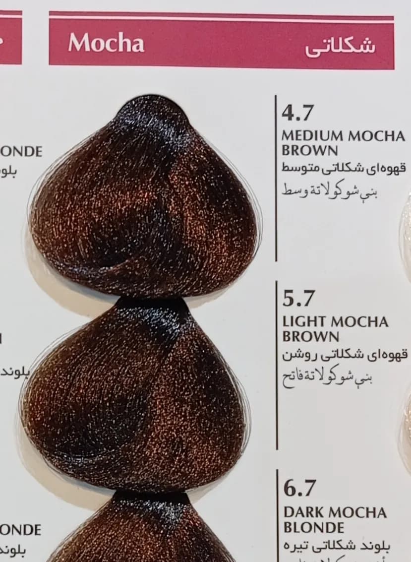 رنگ مو بلگا قهوه ای شکلاتی تیره BELGA 6.7 — تصویر ۲