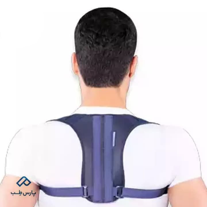 قوزبند مینی فری تن یار