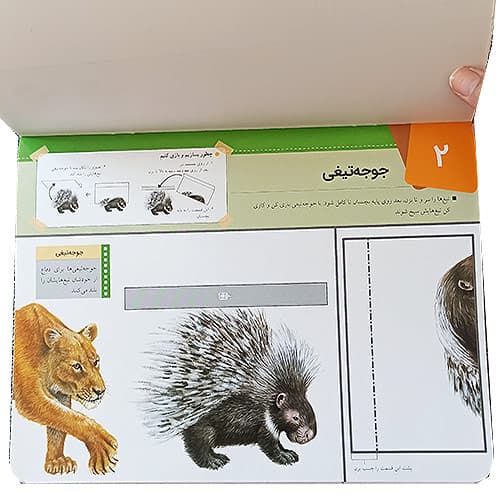کتاب کاردستی های کاغذی حیوانات 1 — تصویر ۳