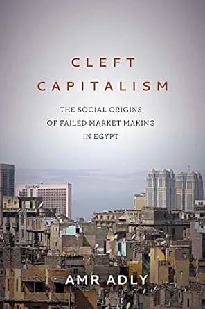 و دانلود نسخه کامل کتاب زبان اصلی Cleft Capitalism: The Social Origins of Failed Market Making in Egypt (Stanford Studies in Middle Eastern and Islamic Societies and Cultures) PDF | دانلود کتاب خ