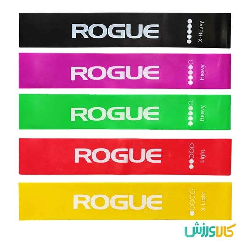 کش مینی لوپ ROGUE