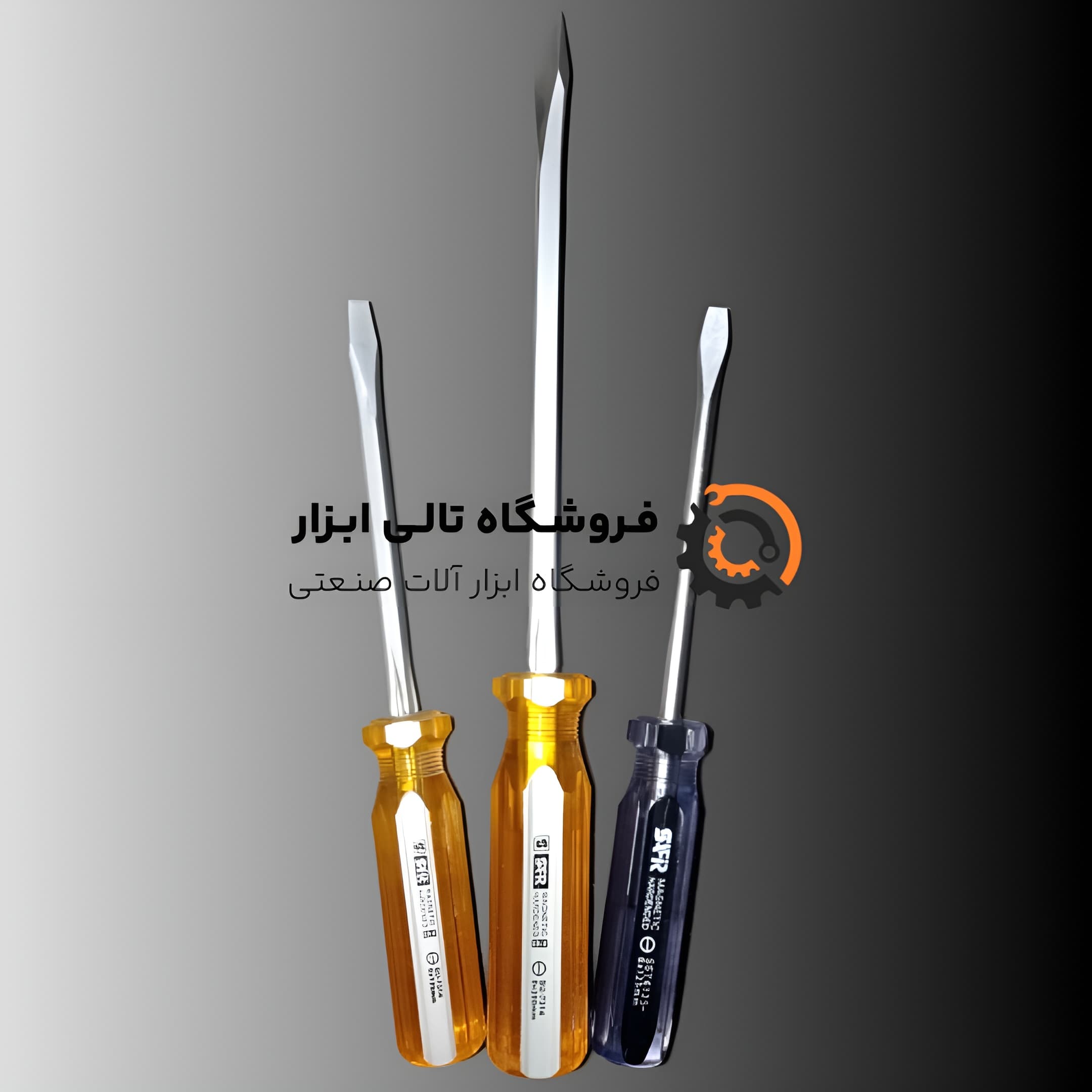 پیچ گوشتی سفیر دوسو سایز 125*6