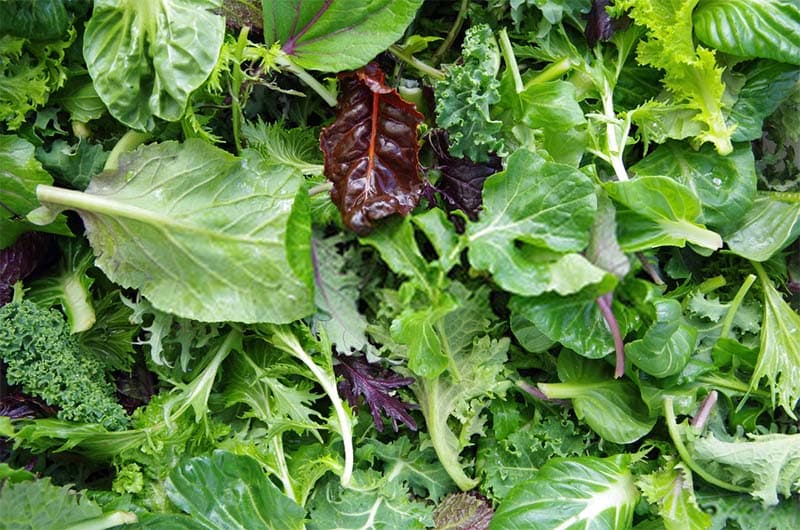 بذر سبزیجات سالادی ژاپنی بسته 30 عددی