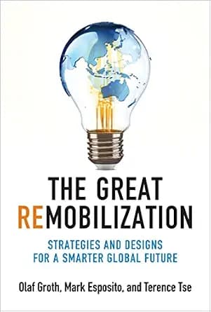 و دانلود نسخه کامل کتاب زبان اصلی The Great Remobilization: Strategies and Designs for a Smarter Global Future PDF | دانلود کتاب خارجی
