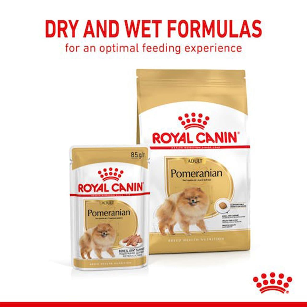 غذای خشک سگ پامرانین ادالت رویال کنین 1/5 کیلوگرم Royal Canin Pomeranian Adult Dry Dog Food — تصویر ۱۱