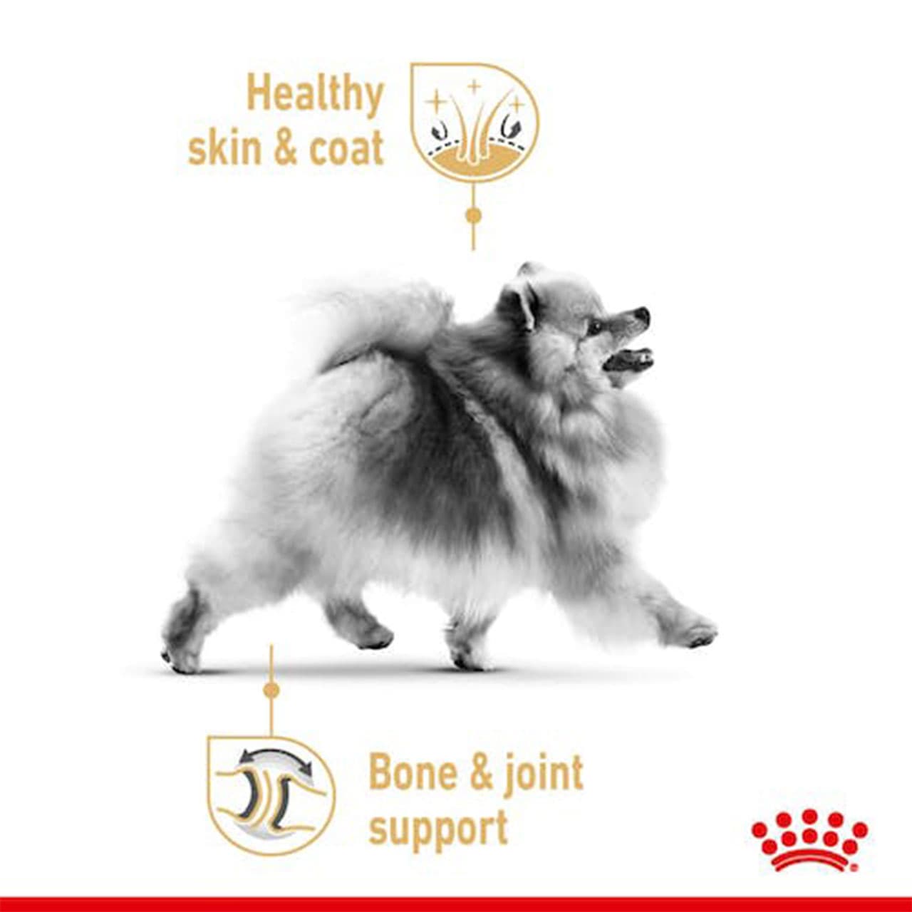 غذای خشک سگ پامرانین ادالت رویال کنین 1/5 کیلوگرم Royal Canin Pomeranian Adult Dry Dog Food — تصویر ۱۰
