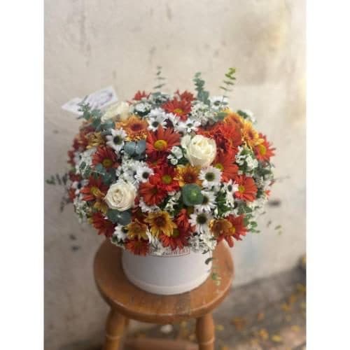 باکس گل ورنیکا برای روز زن 4461