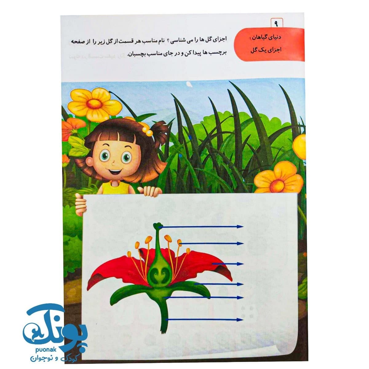 کتاب هوش انطباقی (AQ) گروه سنی ۵ تا ۶ سال — تصویر ۴