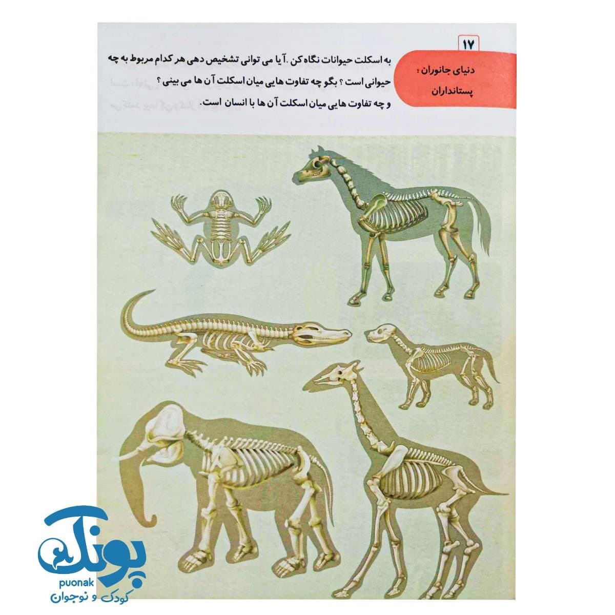 کتاب هوش انطباقی (AQ) گروه سنی ۵ تا ۶ سال — تصویر ۸