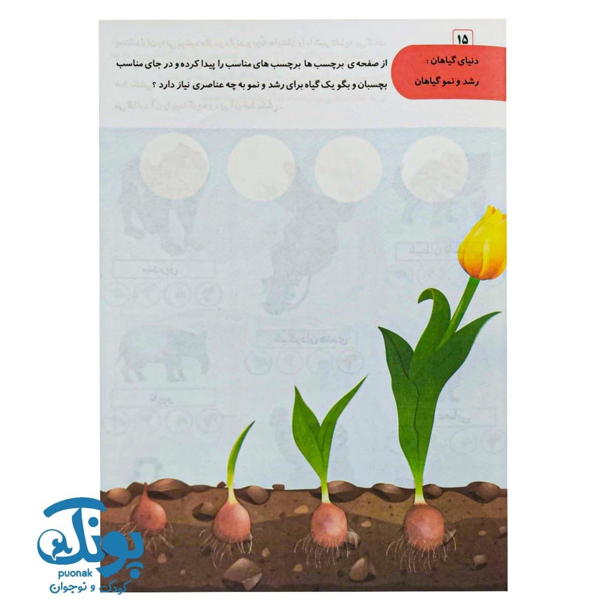 کتاب هوش انطباقی (AQ) گروه سنی ۵ تا ۶ سال — تصویر ۷