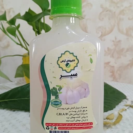 شامپو سیر طبیعی – تقویت مو، ضد شوره و کاهش ریزش مو — تصویر ۲