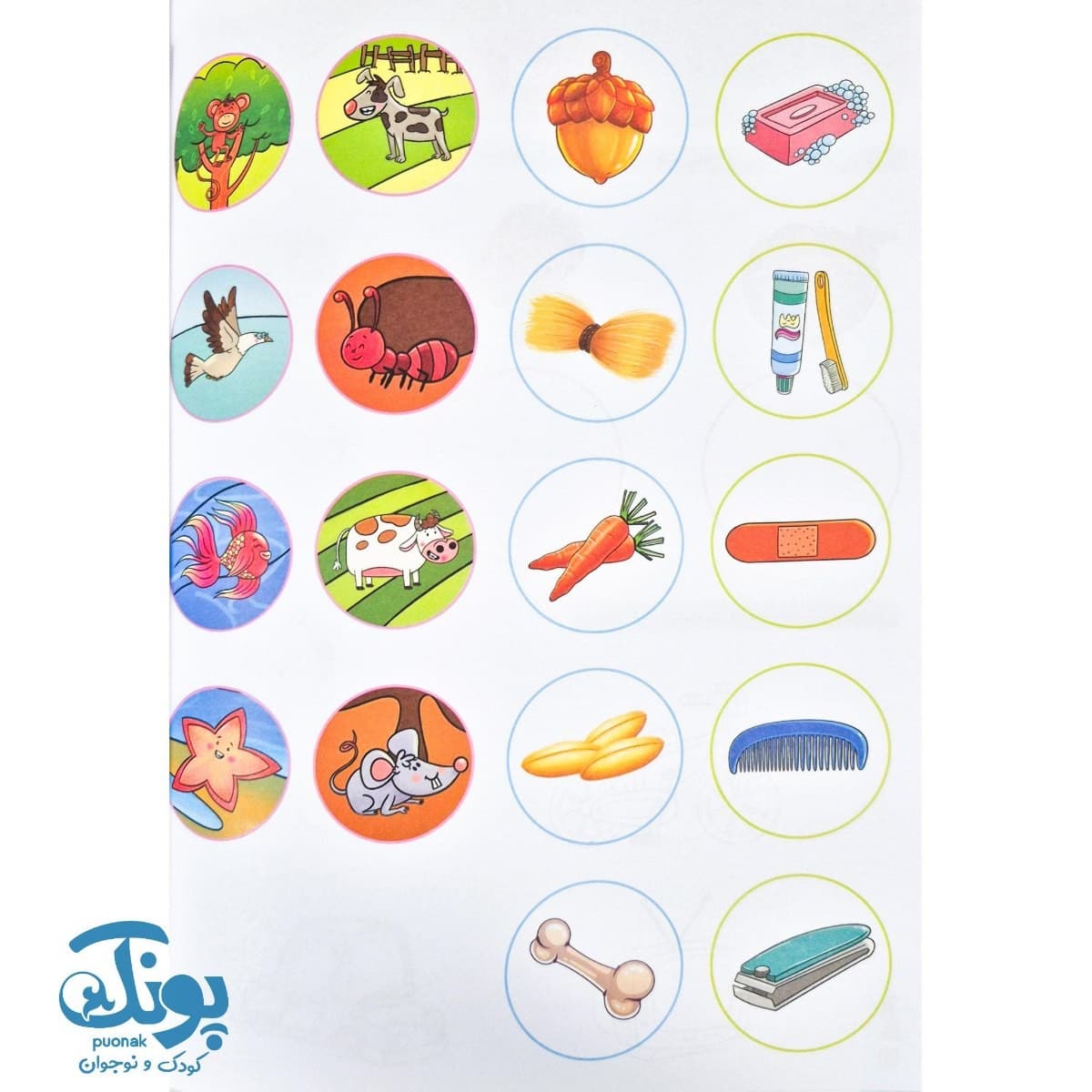 کتاب دانش یار آموزش مفاهیم علوم ویژه پیش از دبستان — تصویر ۷