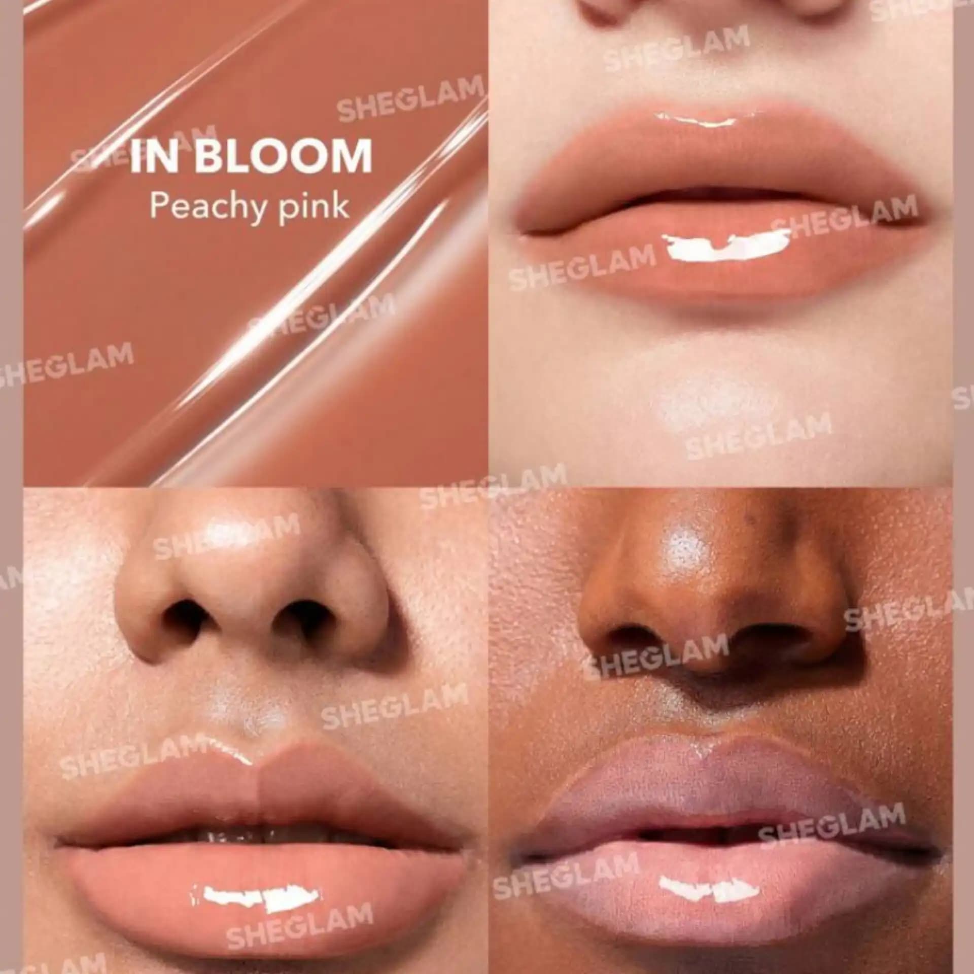 لیپ پلامپر شگلم in bloom — تصویر ۳