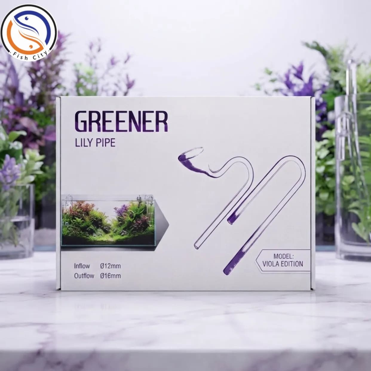 ست شیشه‌ای ورودی و خروجی فیلتر سطلی ویولت سایز 12در 16