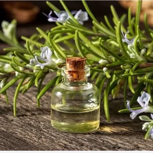 روغن رزماری حکیم 30 سی سی