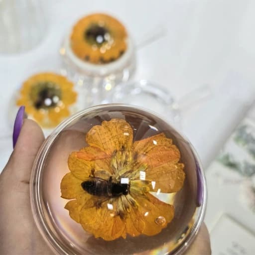 مرباخوری اکرلیک طرح زنبور برند شنگیا — تصویر ۸