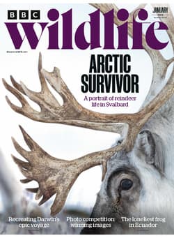 مجله BBC Wildlife؛ ژانویه 2024