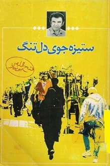 کتاب ستیزه جوی دلتنگ – نویسنده فتح الله بی نیاز