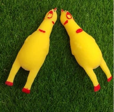 فیجت مرغ نالان خامه ای