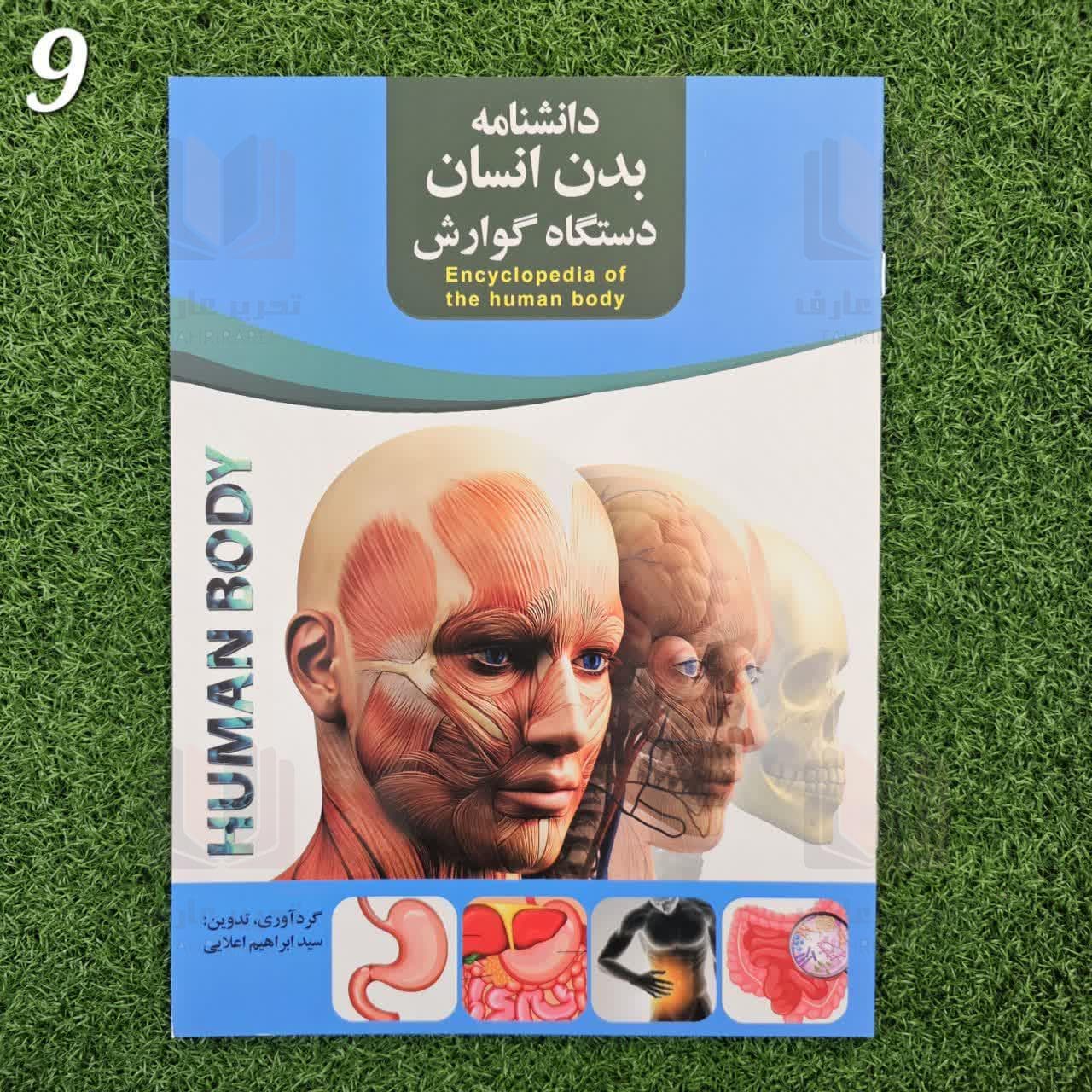 دانشنامه بدن انسان دستگاه گوارش 9