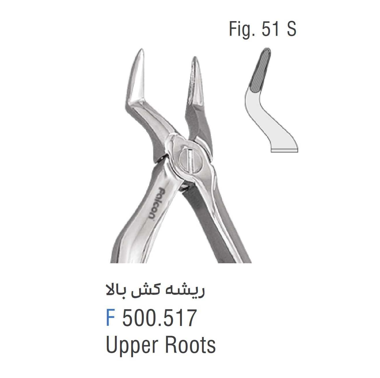 فورسپس ریشه کش بالا فالکن Fig:51S