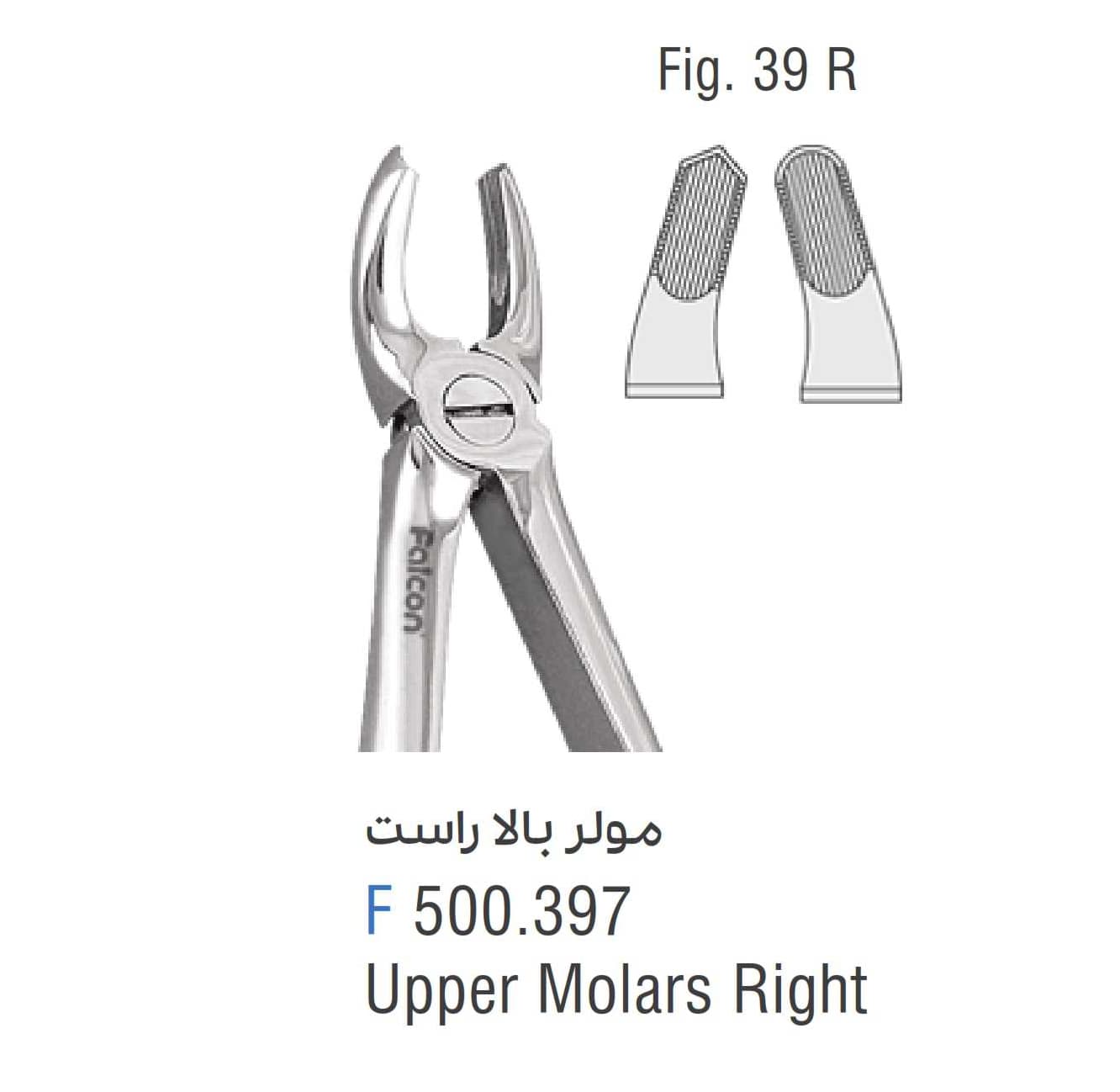 فورسپس مولر بالا راست فالکن Fig:39R