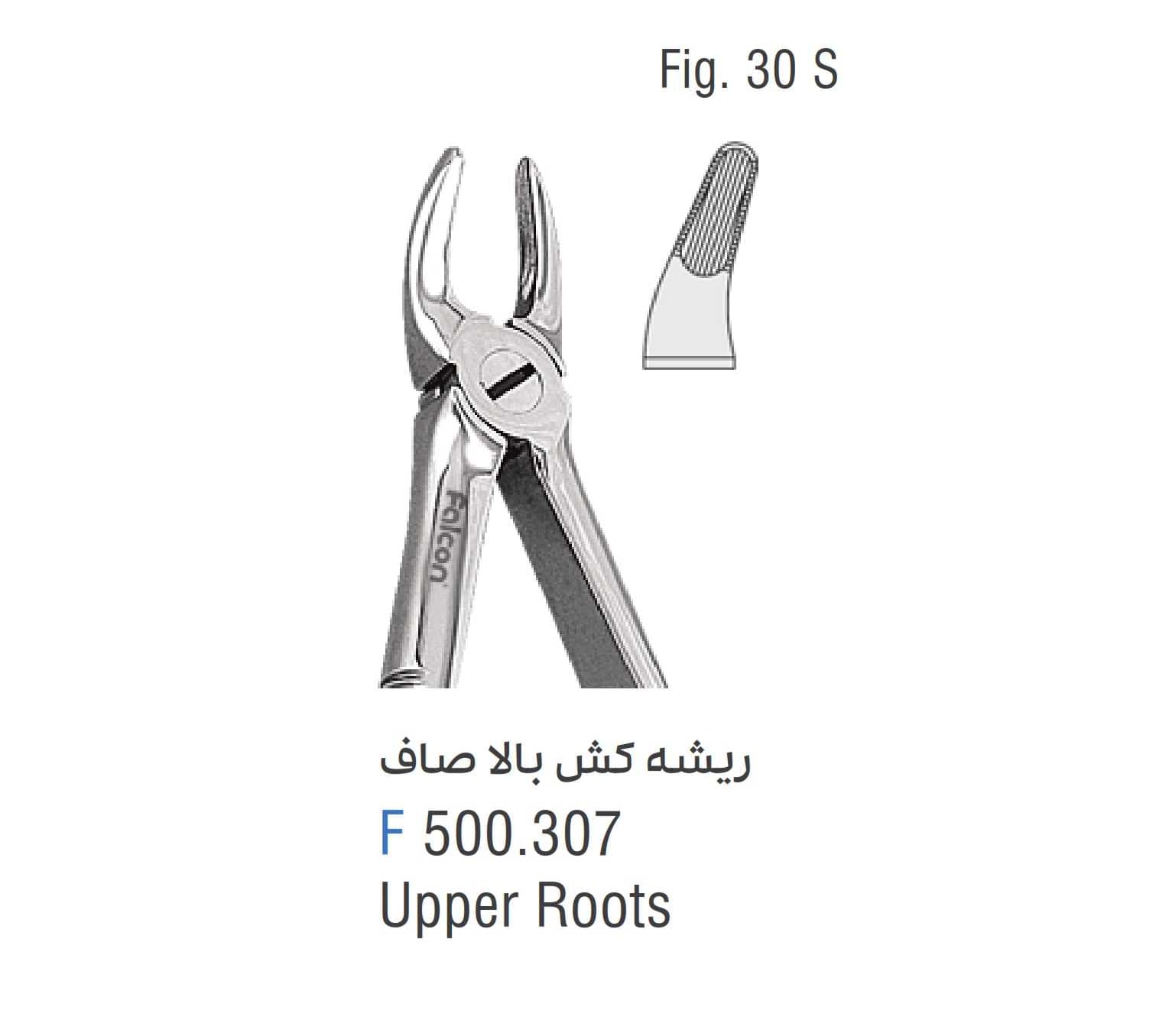 فورسپس ریشه کش بالا صاف فالکن Fig:30S — تصویر ۲