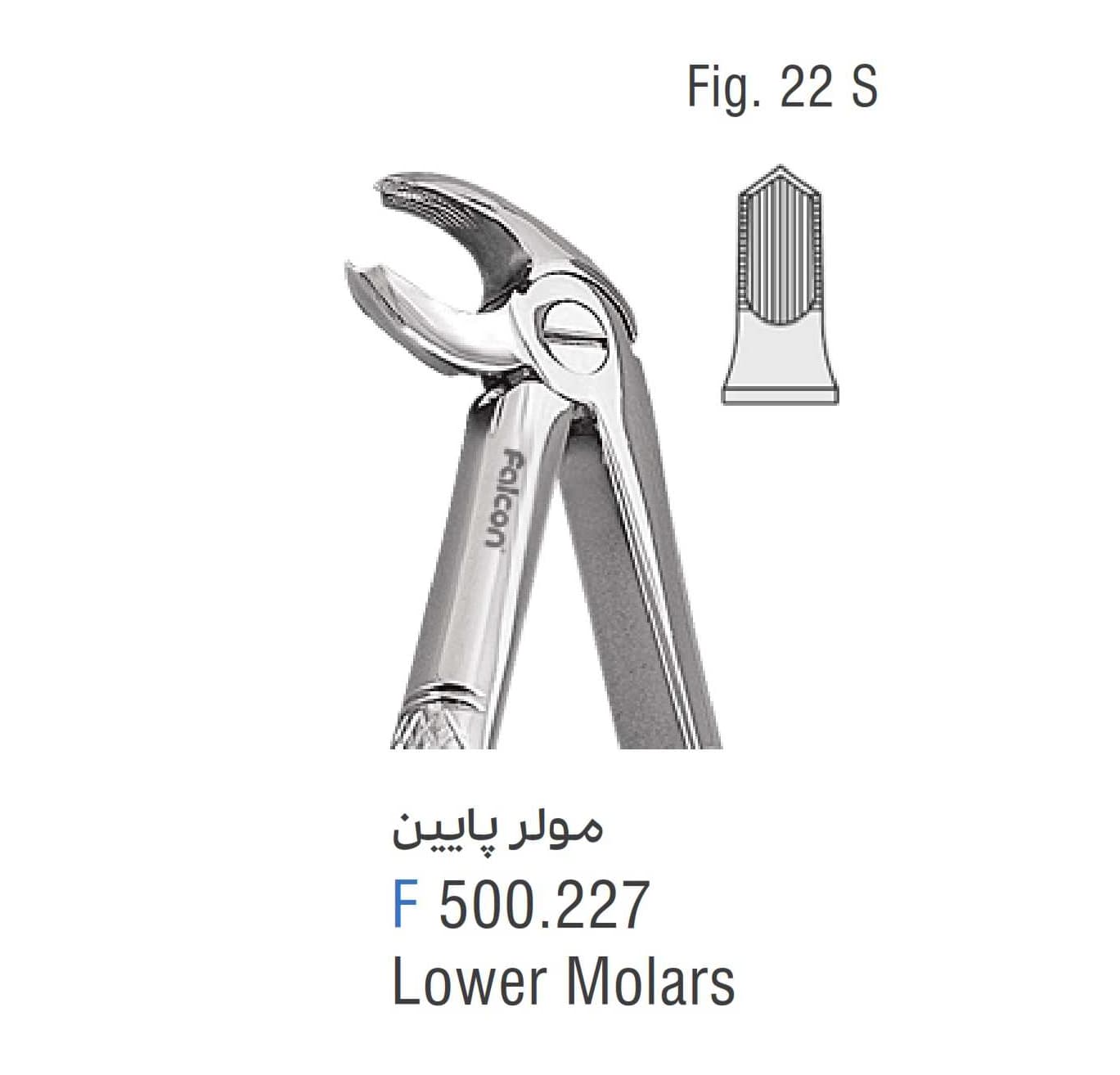 فورسپس مولر پایین فالکن Fig:22S