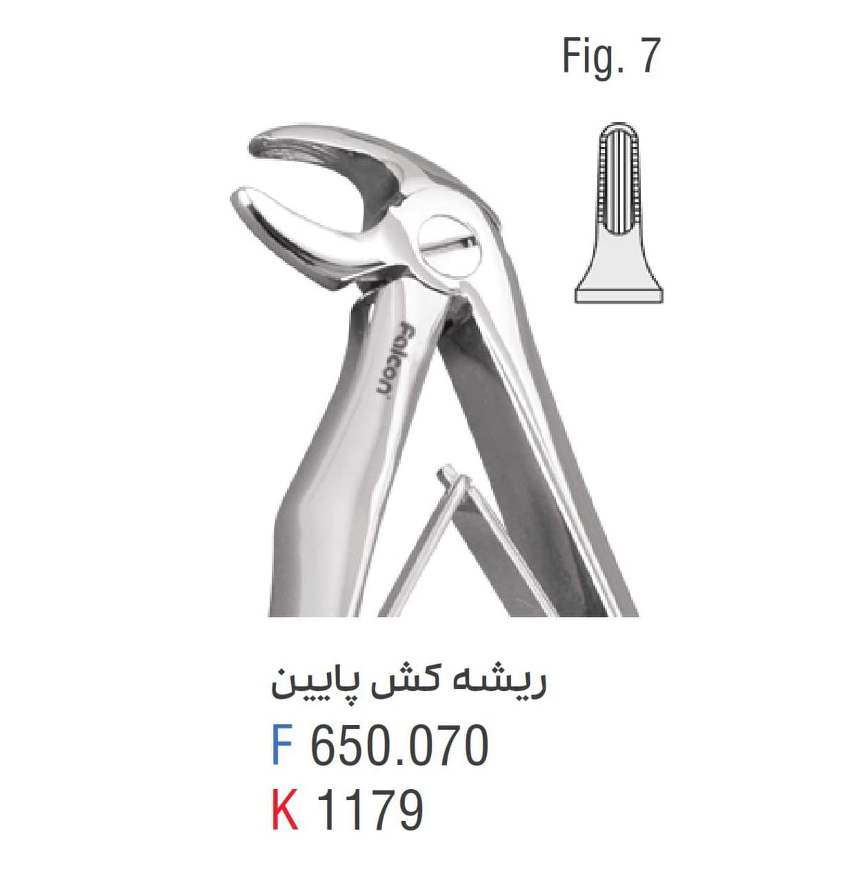 فورسپس ریشه کش پایین فالکن fig:7