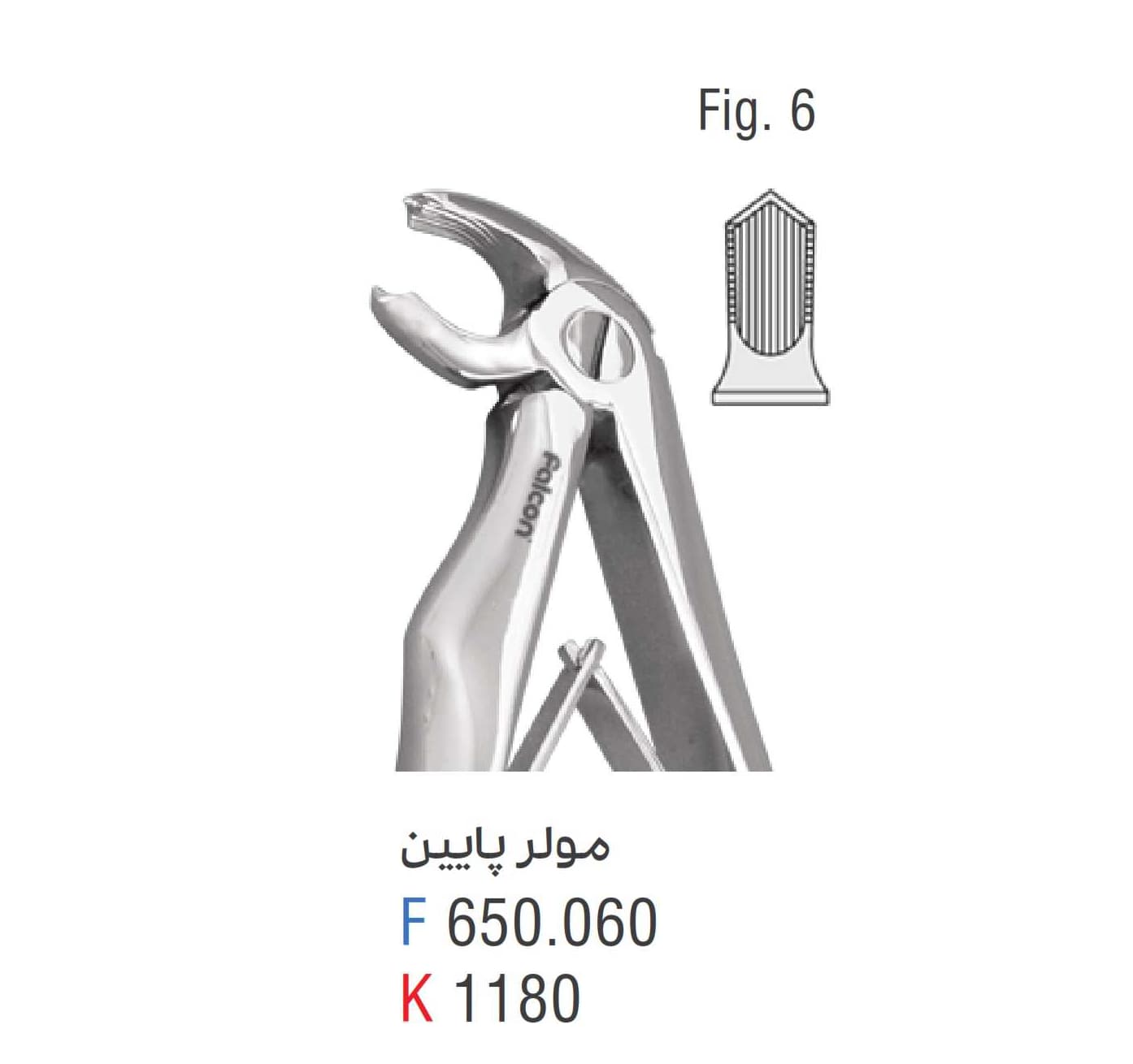 فورسپس مولر پایین فالکن Fig:6